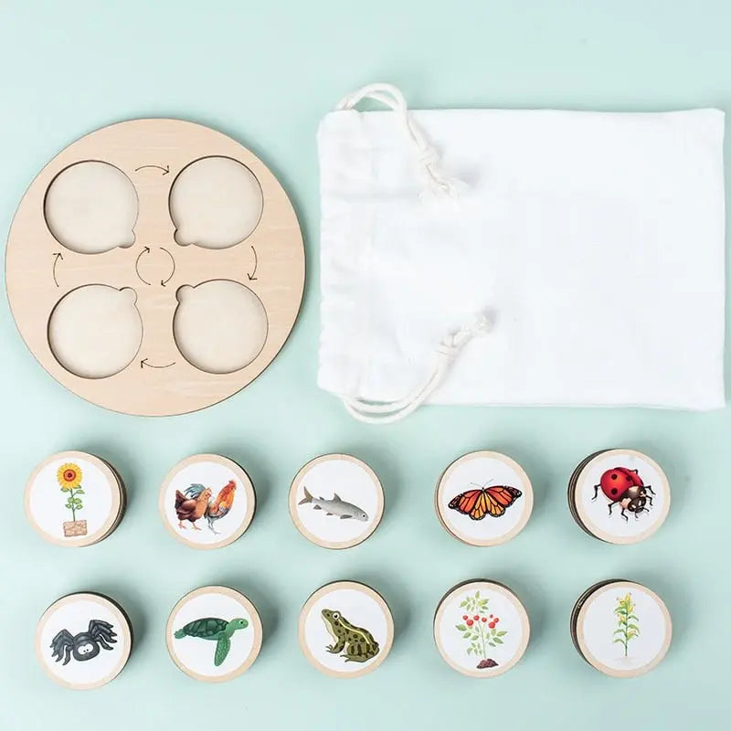 Un sac contenant des puzzles en bois représentant des insectes - Jeu d'Évolution de la Nature.