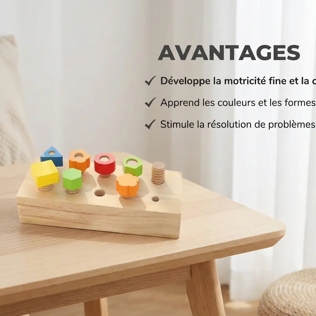 Jeu Montessori Boulons Écrous en Bois - Tri Couleurs Formes