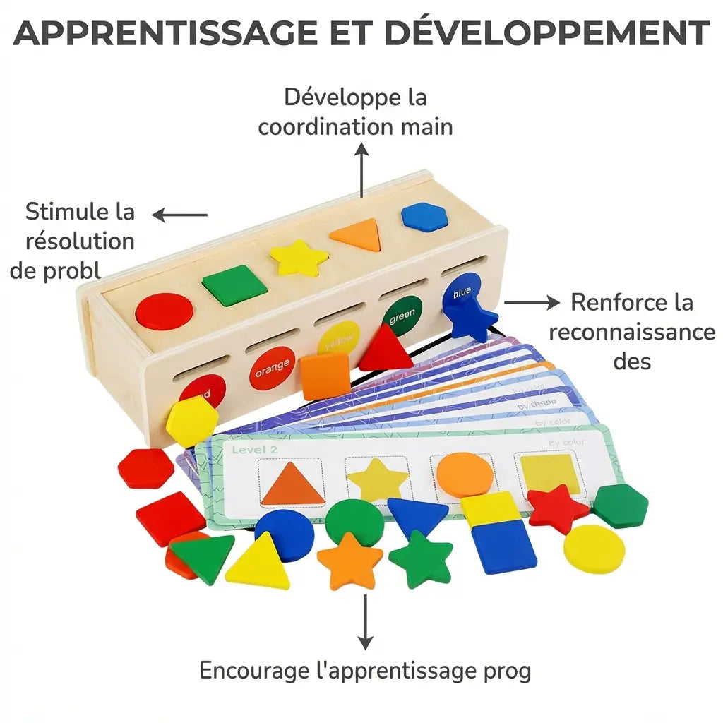 Boîte de Tri Formes et Couleurs Montessori - Jouet Éducatif