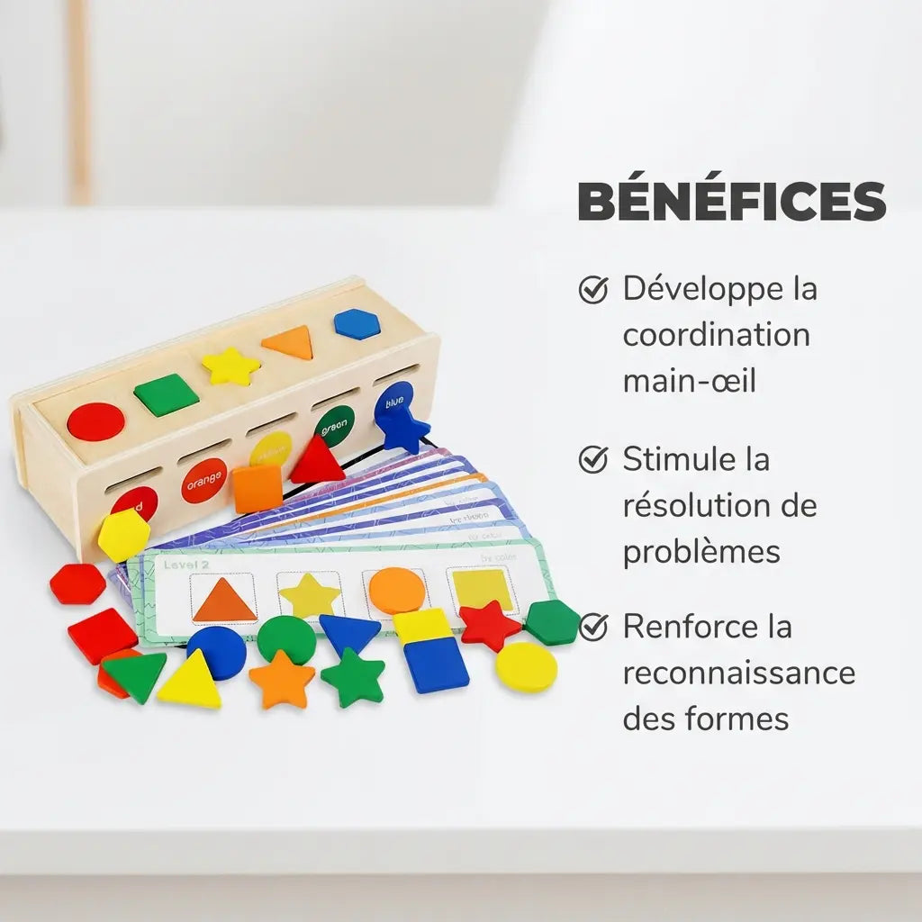 Boîte de Tri Formes et Couleurs Montessori - Jouet Éducatif