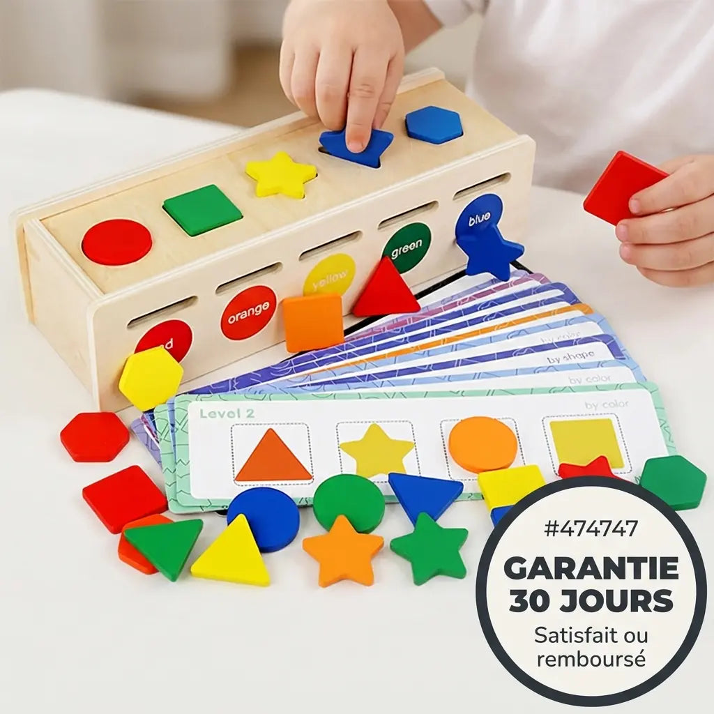 Boîte de Tri Formes et Couleurs Montessori - Jouet Éducatif
