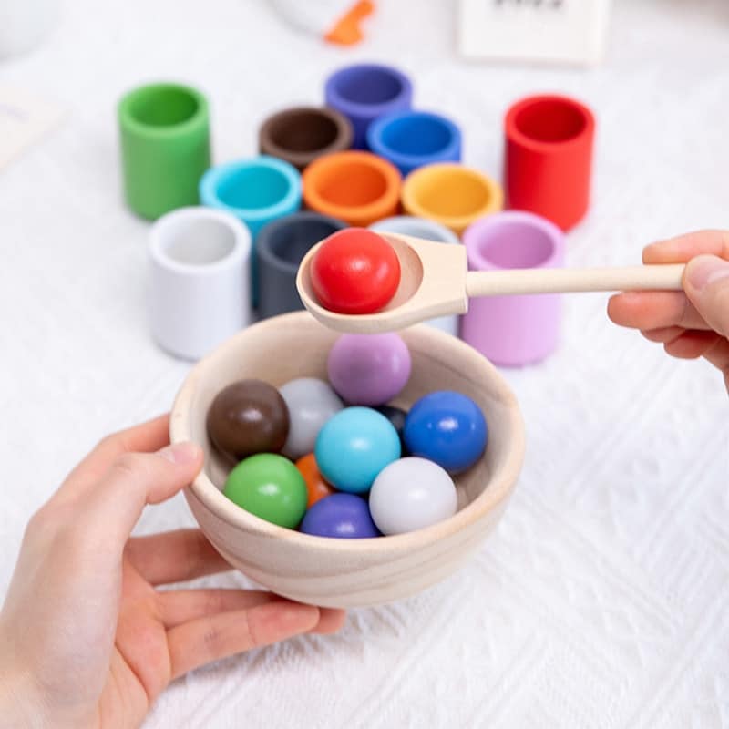 Une personne tenant un Jouet en bois Montessori Boule et Tasse de Tri pour le tri.