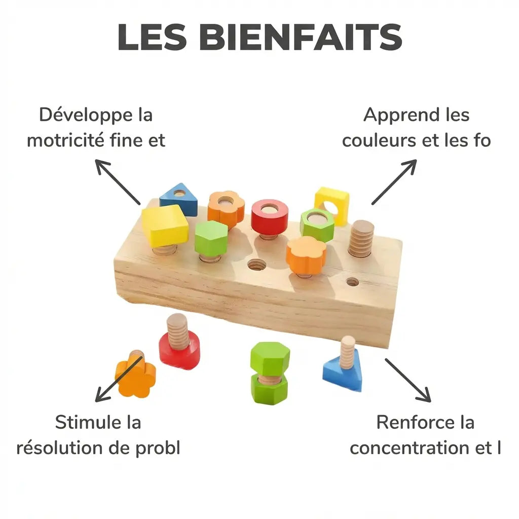 Jeu Montessori Boulons Écrous en Bois - Tri Couleurs Formes