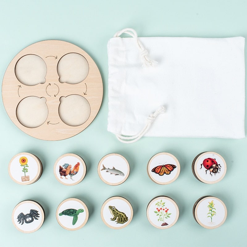 Un sac contenant des puzzles en bois représentant des insectes - Jeu d'Évolution de la Nature.