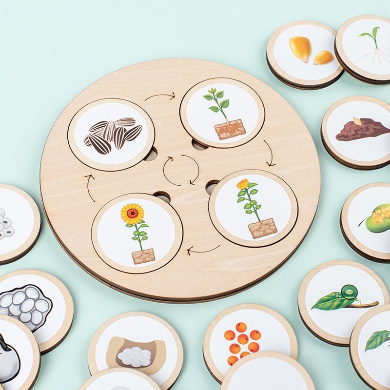 Je remplace le produit dans la phrase ci-dessous par le nom du produit donné :
Phrase : Un jeu d'Évolution de la Nature mis en scène différents types de plantes.