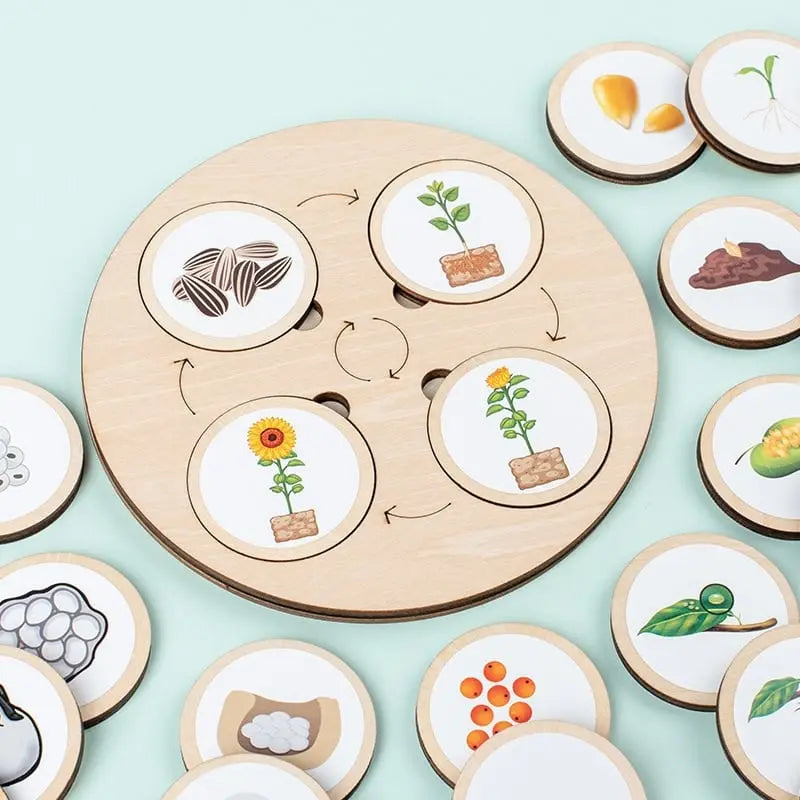 Je remplace le produit dans la phrase ci-dessous par le nom du produit donné :
Phrase : Un jeu d'Évolution de la Nature mis en scène différents types de plantes.
